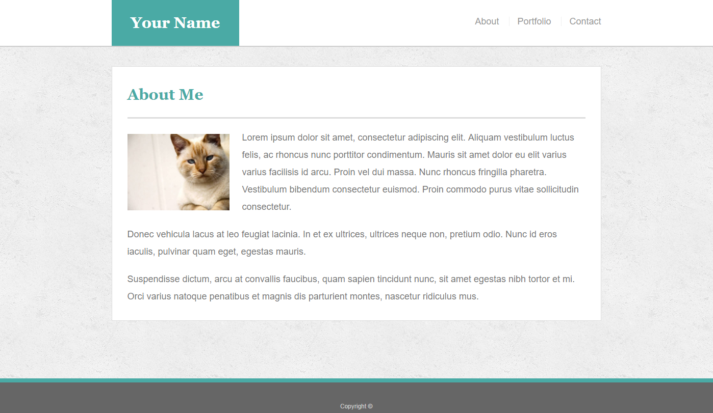 Portfolio About